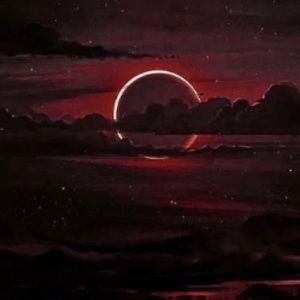 Meet your Posher, Kalil